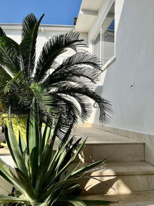 Naples In The History 4M Bed & Breakfast Luaran gambar